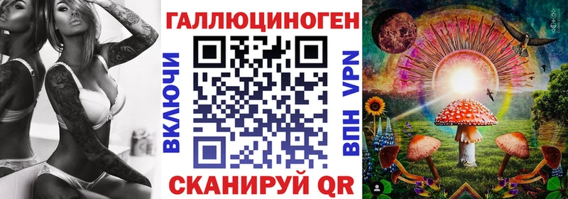Галлюциногенные грибы Psilocybine cubensis  Бирюч 